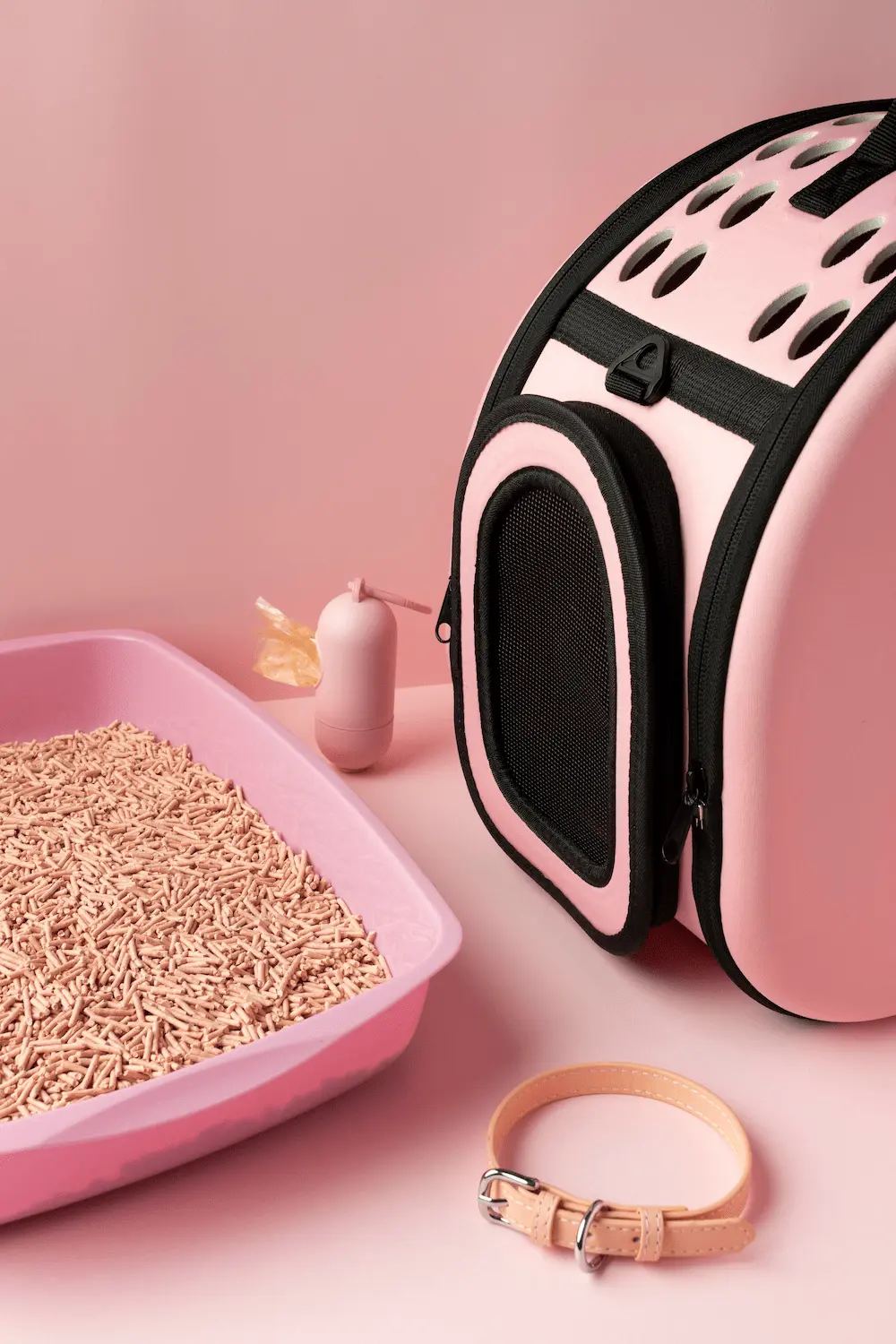 Productos varios para gato